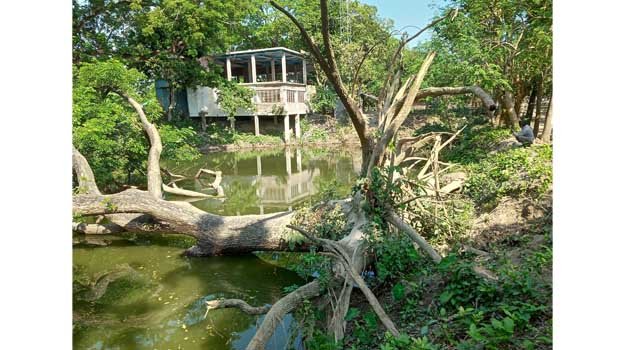 ‘Dead Ziakhal’ now brings woe for Moheshpur people