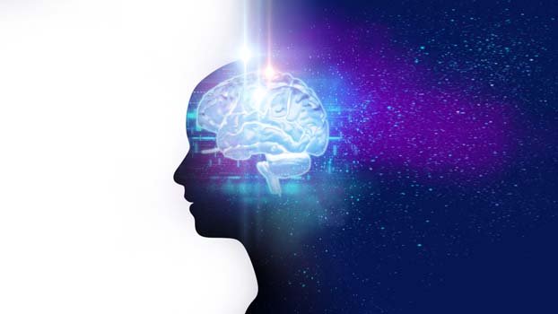 Your brain’s most important job isn’t thinking