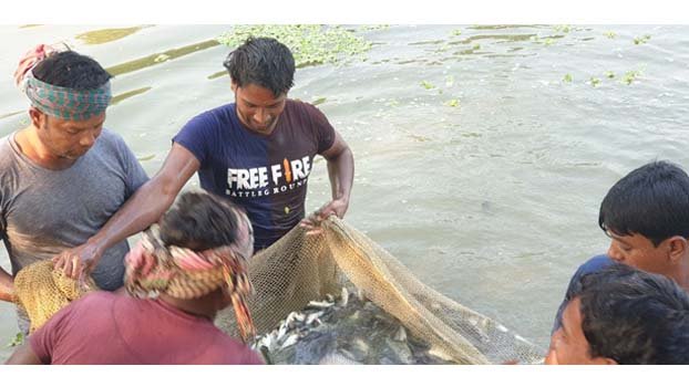 Success story of a post-graduate fisherman in Rajshahi village