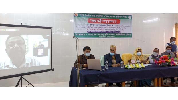 Call to expand salt-tolerant paddy farming