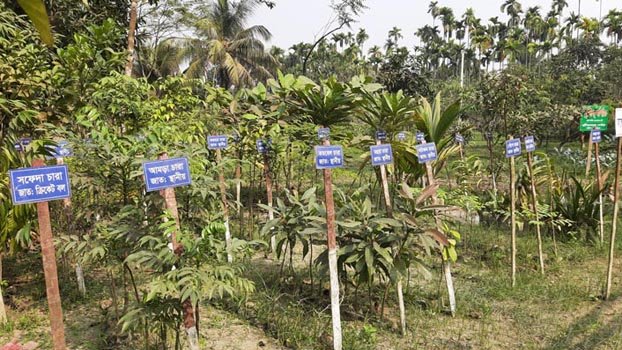 Kishoreganj Horticulture Centre a boon for farmers