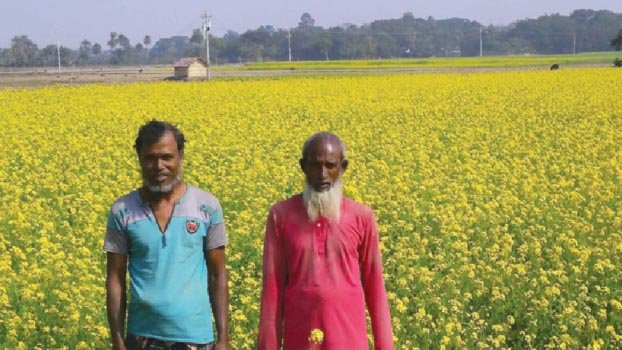 Farmers happy with mustard flower growth