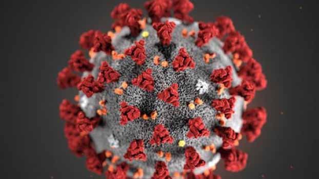 Bangladesh records lowest Covid cases in 5 months