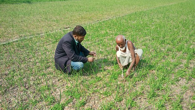 A new ray of hope for garlic farmers in Jhenaidah