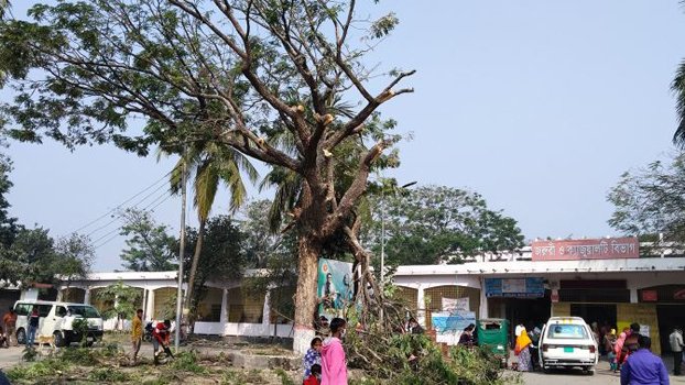 Helping patients by getting rid of birds!