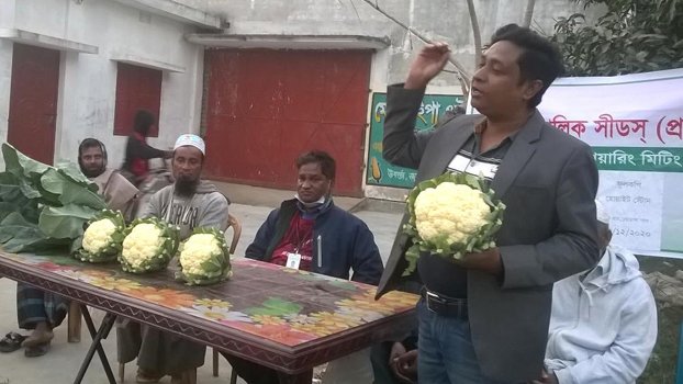 Field Day on cauliflower held in Chuadanga