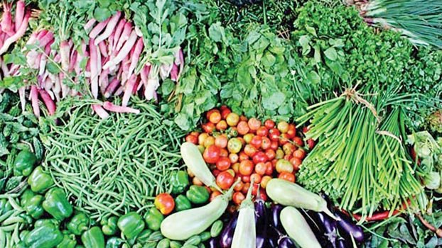 Abundant supply of winter veg pushes prices down