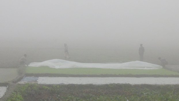 Thakurgaon unlike other dists experiences severe cold 