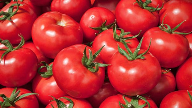 Bumper yield invites woes for farmers