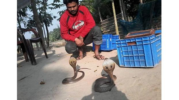 Borhan’s snake farm now considered as exceptional initiative 