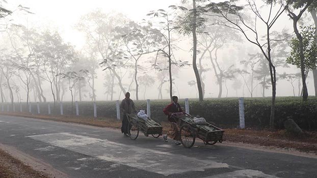 Bitter cold could not stop life