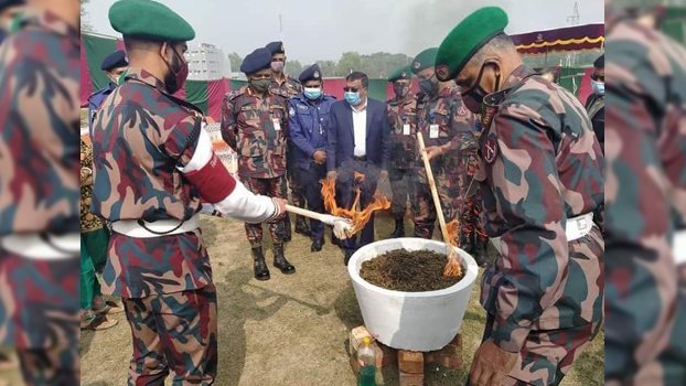 BGB destroys drug worth Tk 2cr in Moheshpur