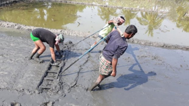 Men plough land for lack of cattle