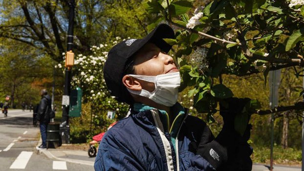 Smell in the time of Covid