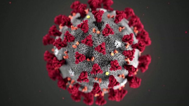 Daily Covid cases fall in Bangladesh