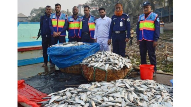82 mounds of Jatka seized