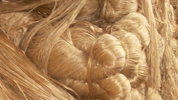 Jute exports see rapid growth