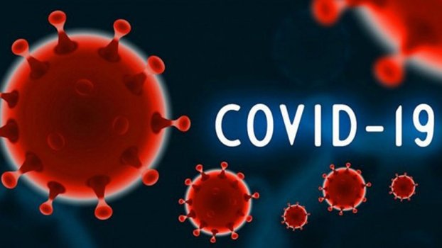 7 died, 302 more corona positive in Ctg