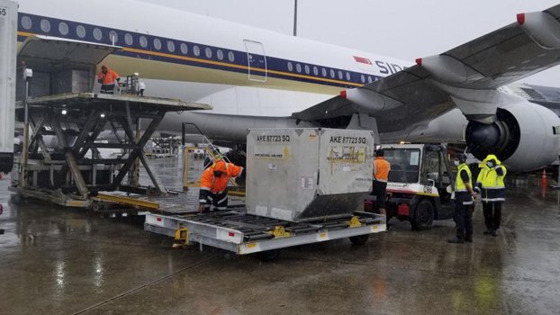 NZ confirms airport virus case, says travel bubble unaffected