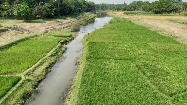 Re-excavation of Boral River needed soon
