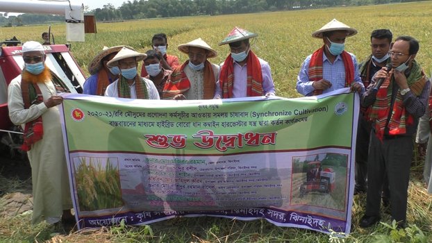 Synchronized Boro harvest begins in Jhenaidah