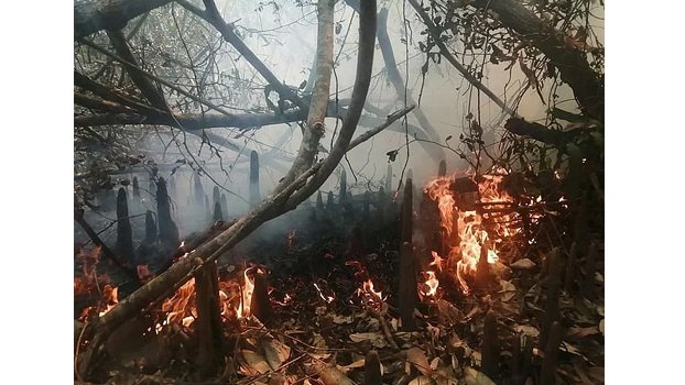 Blazes burning Sundarbans