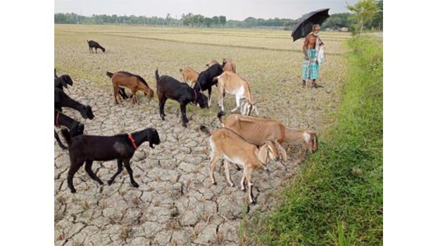 Elderly Harinakundu man struggles to educate daughters