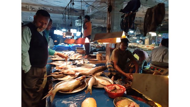 Mother fish catching going on unabated in Kishoreganj