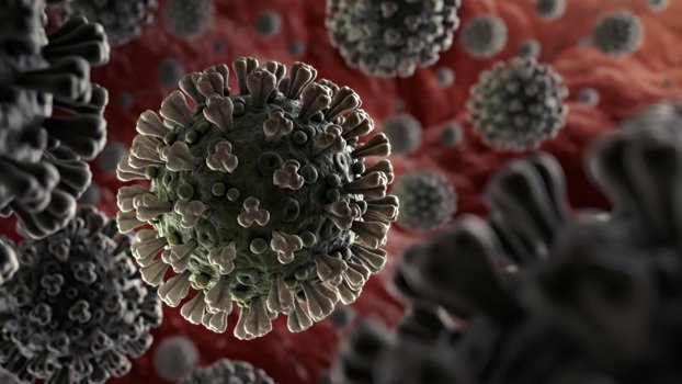 Corona spreading fast in frontier areas of Rajshahi