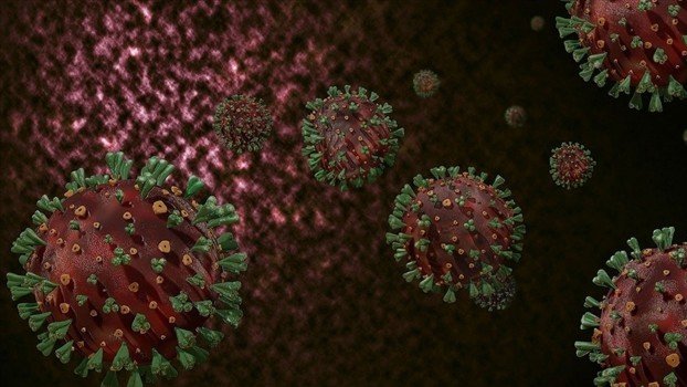 African variants of coronavirus found in Ctg