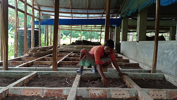 Vermicompost project in  jeopardy at Chitalmari