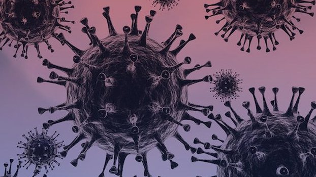 Rajshahi health dept, RMCH provide contradictory info