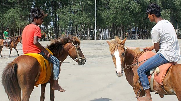 Horses’ deaths in Cox’s Bazar sparks fury