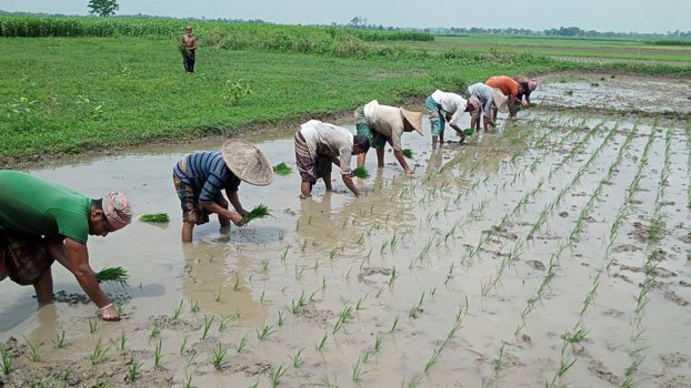Farmers excited with eco-friendly Aus farming
