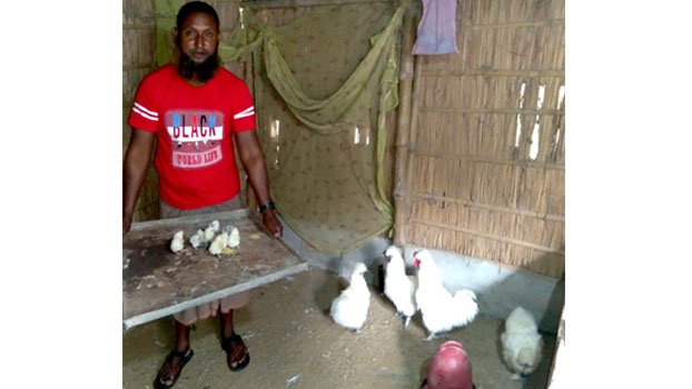 Chatmohar farmer set example  in rearing silky chicken