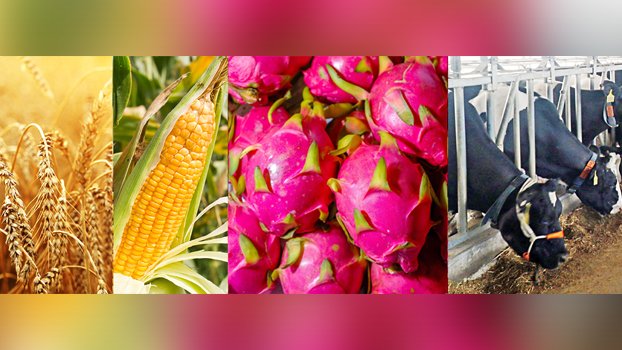 Tax exemption for agro investors