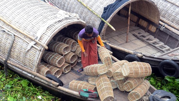 12 more die of Corona in a day