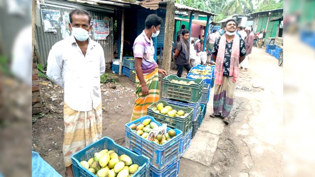 Mango sales at half price  for lack of buyers