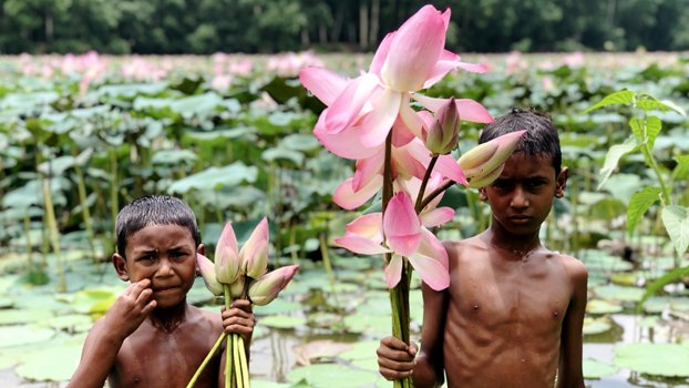 Biodiversity of Altadighi National Park threatened alarmingly