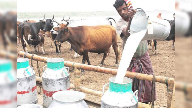 Over 20,000 dairy farmers in  Pabna affected by lockdown