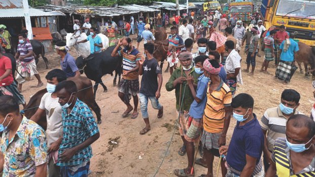 No health rules followed at cattle markets in Rajshahi
