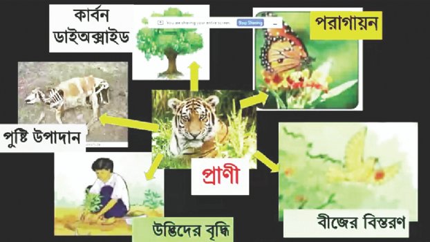 Pry students attend online classes with ease in Natore