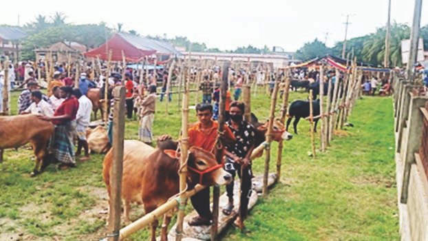 Cattle market on school ground ignoring govt instruction