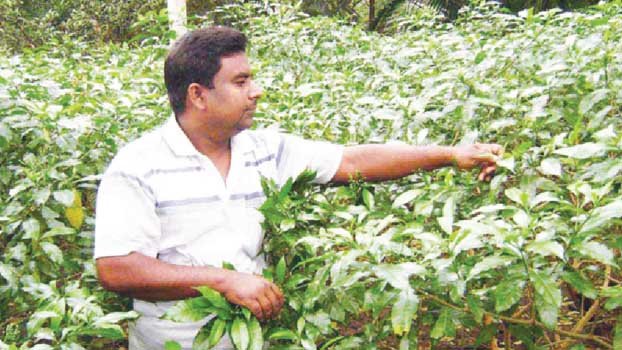 Flowers flourish Rajshahi man’s luck