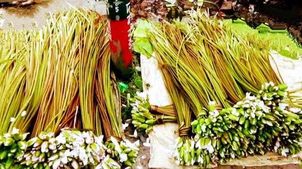 They make living by selling water lily