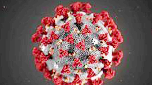 Corona death toll crosses  1,000 to Chattogram