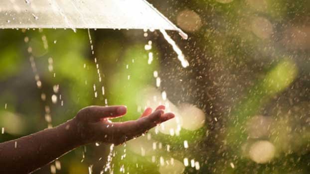 Thundershowers, light to moderate rain  likely