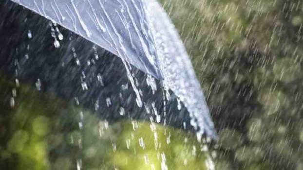 Light to moderate rain likely over country