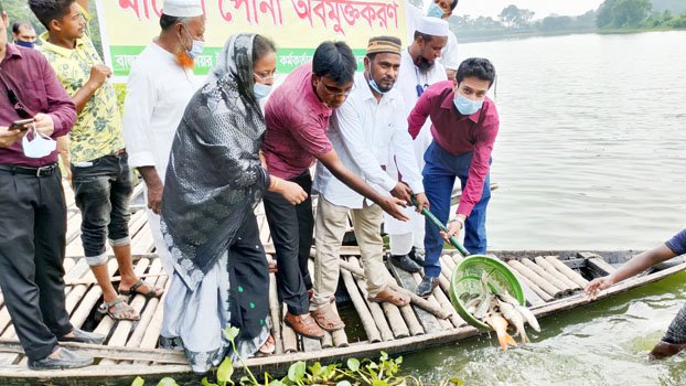 Fish fry released in open water