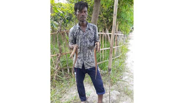 Prospect of ell fish farming bright in the country